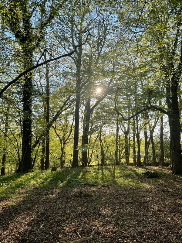 Camping location in South East