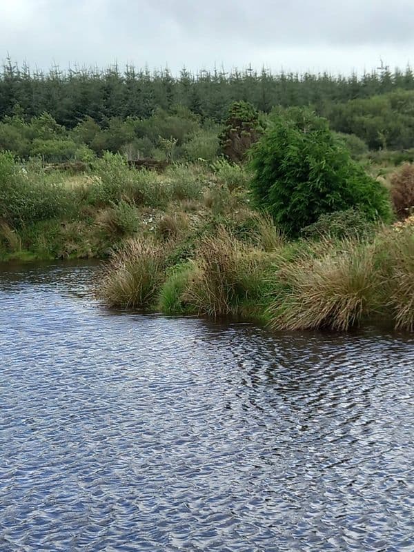 Camping location in Wales South