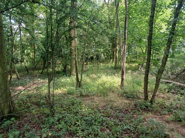 Camping location in East of England