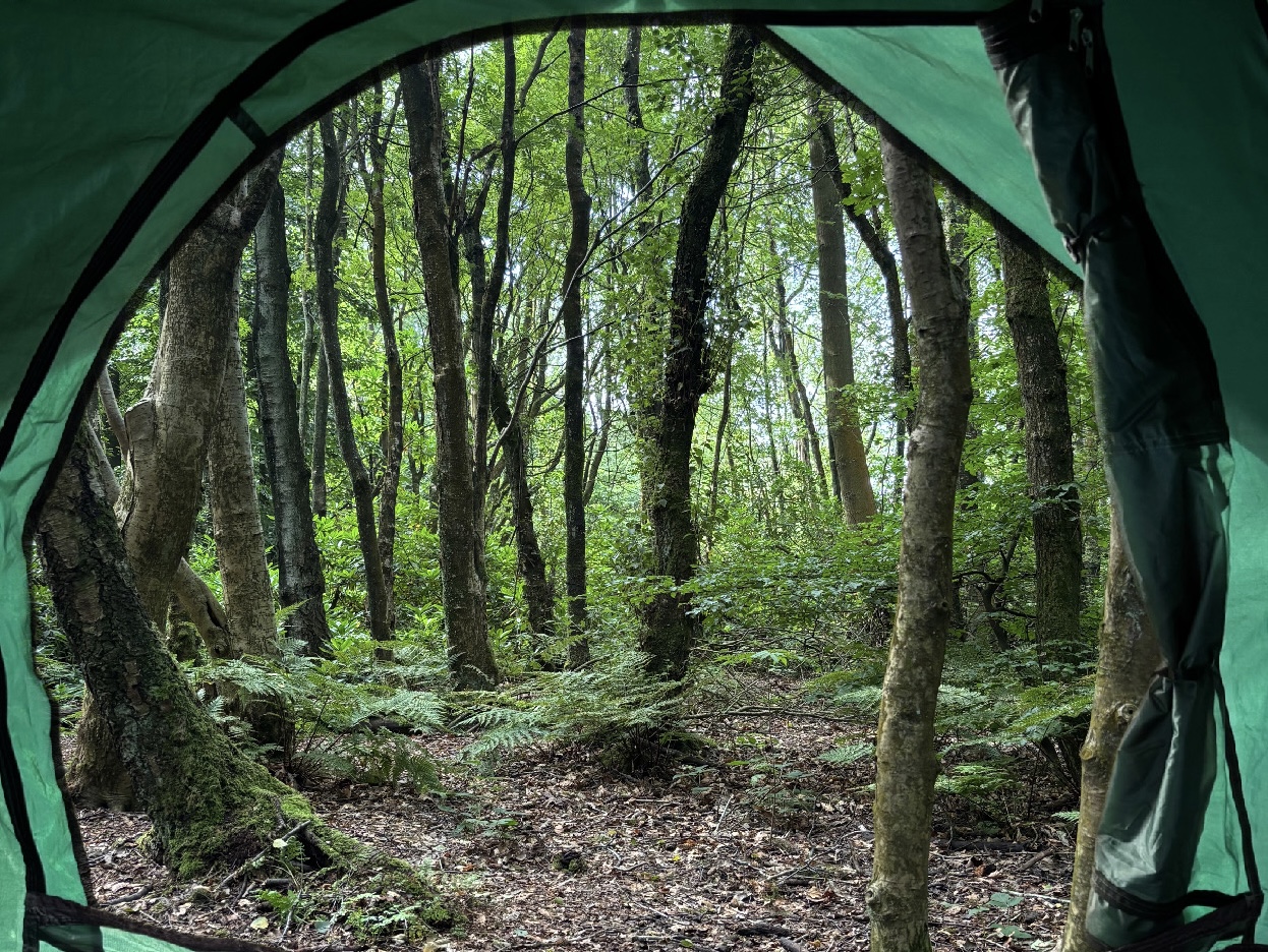 Woodlands Wild Camping